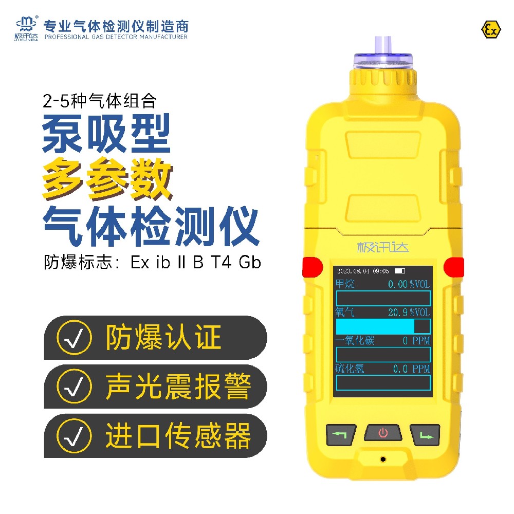 泵吸式多參數氣體檢測報警儀（2-5種氣體組合）